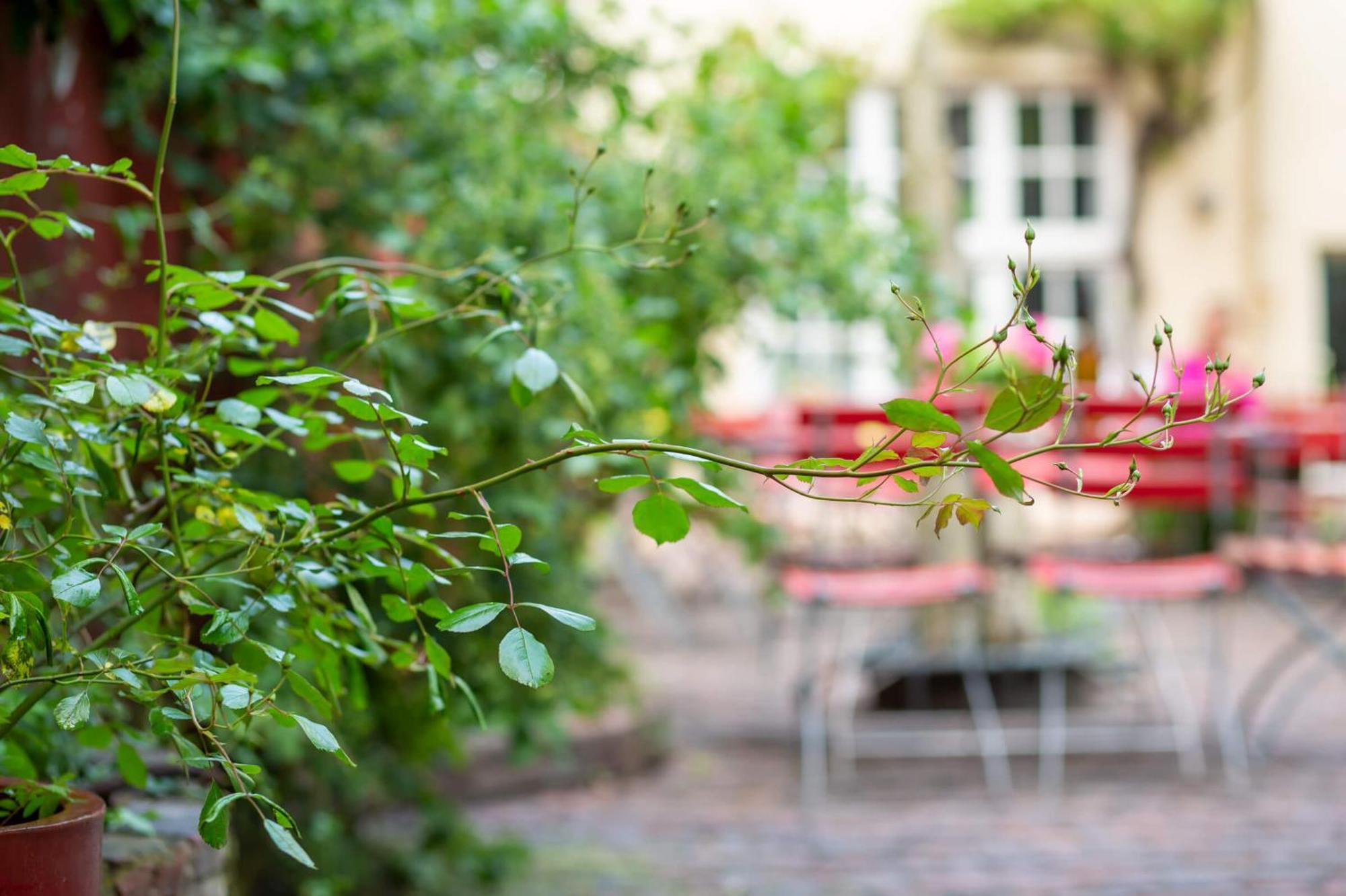 Hotel Tafelfreuden Oldenburg Zewnętrze zdjęcie